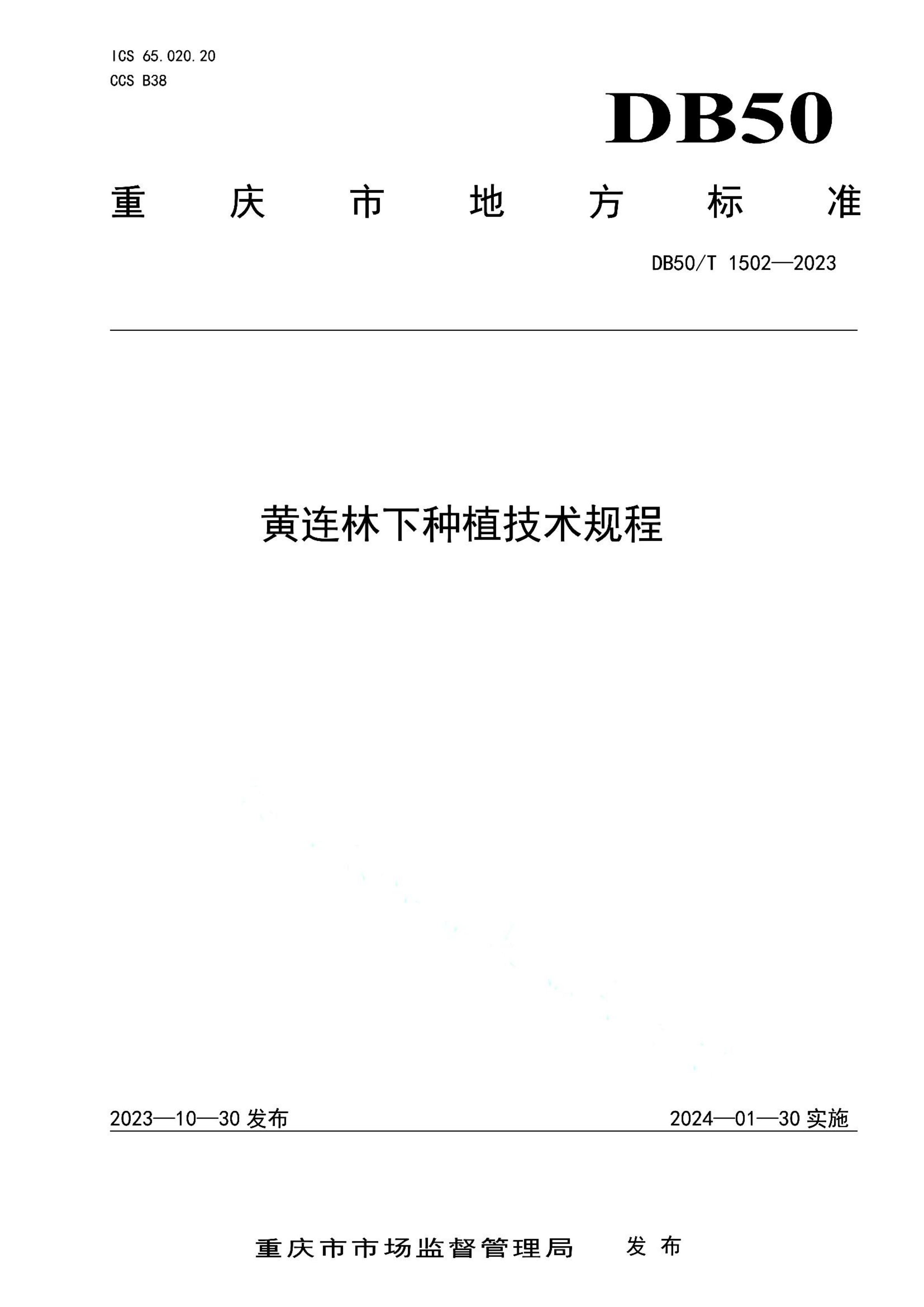 资源详情图